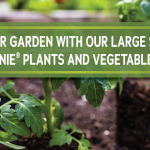 Farmers Coop_Grow Your Garden_Slider