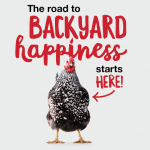 2019_AN_Flock_Chick(en)Days-Dealer-posts_Backyard-Happiness-Starts-Here