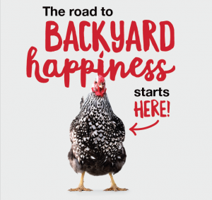 Backyard Flock Webinar on May 7, 2020, hosted by Farmers Cooperative and Purina Poultry.