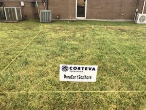 Corteva Agriscience Test Plots at Farmers Coop