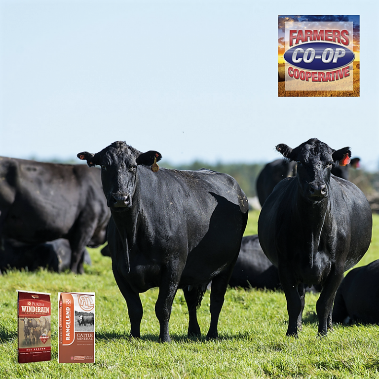 Purina Fly Control Cattle Mineral Farmer's Coop