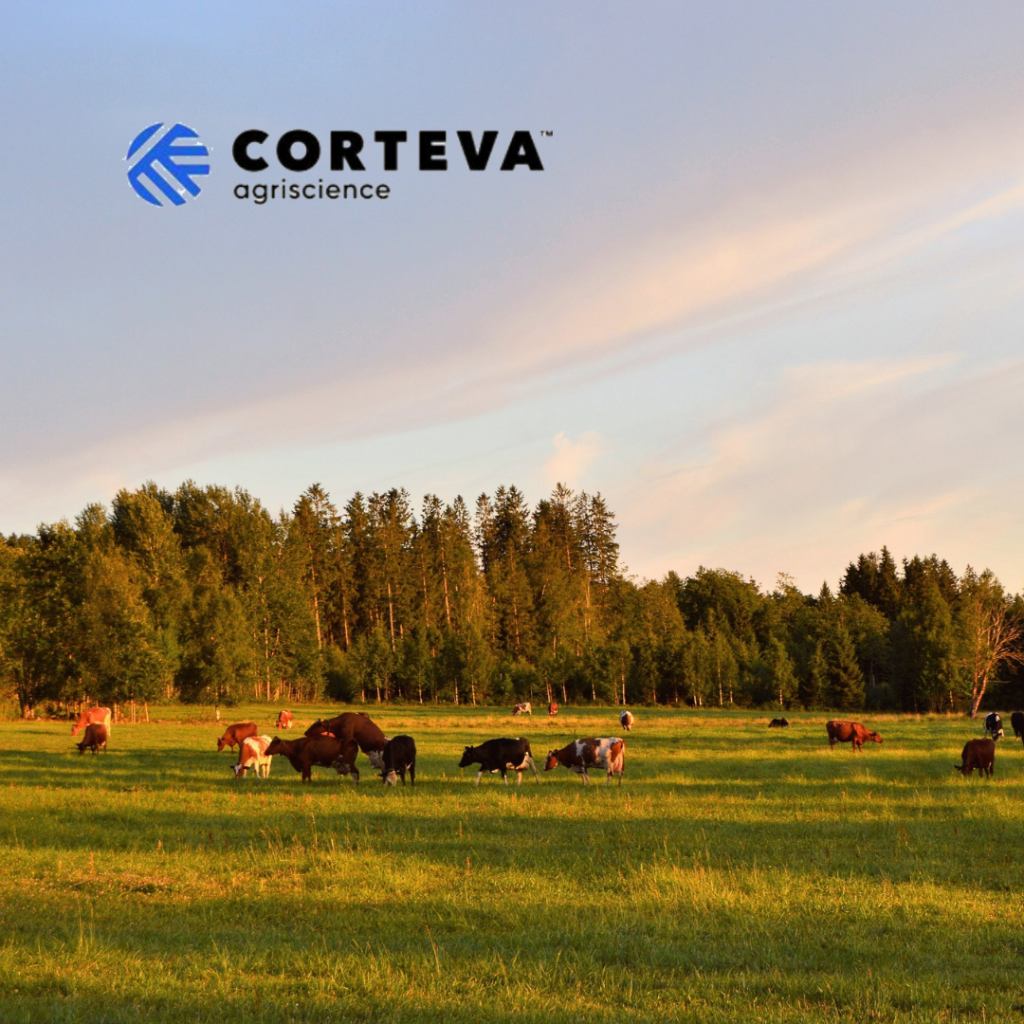 Corteva Herbicides for Pasture Weed Control Farmers Coop