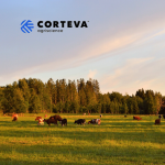 corteva pasture cattle Farmers