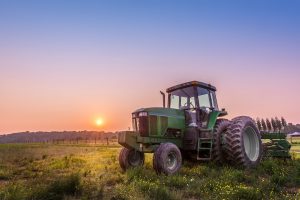 Fall is Weed Control Season