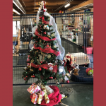 Farmers Coop Christmas Tree Contest 2020 (3)