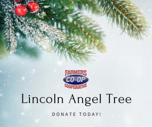 Join us in giving back to those in need right here in our community, buy choosing an angel from the Lincoln Secret Santa Angel Tree.