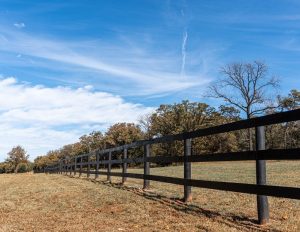 Prepare for peak grazing season now with the help of Farmers Co-op in Van Buren, Arkansas.