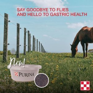 Check out the Purina EquiTub supplement with ClariFly. Say goodbye to flies , and hello to gastric health + optimal body condition.