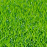 farmers_breadcrumb_bg