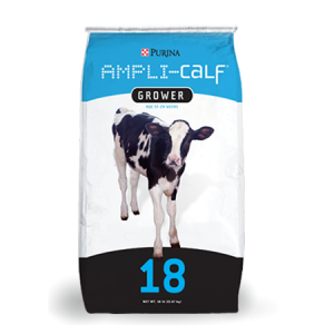 Purina Ampli-Calf Grower. Blue, black and white feed bag with cows.