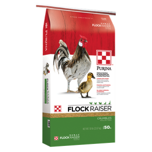 Purina Flock Raiser Crumbles Feed Bag