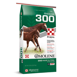 Purina Omolene 300 Horse Feed in Green Bag. Two brown horses.