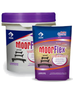 MoorMan’s ShowTec MoorFlex. White plastic pail with lid. Purple and gold pouch. Show feeds.