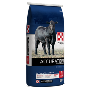 Purina Accuration Cattle Starter Blue Feed Bag with black calf.