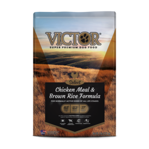 Victor Select Chicken Meal & Brown Rice Formula Dry Dog Food. Brown dog food bag. Golden field.