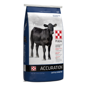 Purina Accuration Cattle Starter Blue Feed Bag with black calf.