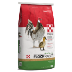 Purina Flock Raiser Crumbles Feed Bag 50-lb