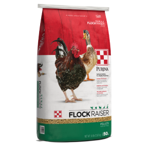 Purina Flock Raiser Medicated Pellets 50-lb