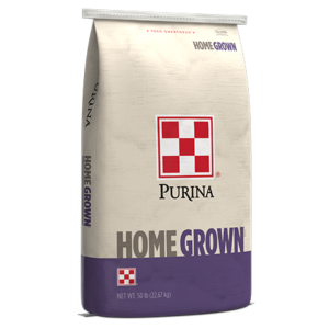 Purina Home Grown Turkey-Pheasant Starter. 50-lb tan and purple feed bag.