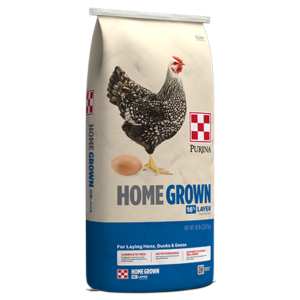 Purina Home Grown 16% Layer Crumbles. Blue and tan feed bag.