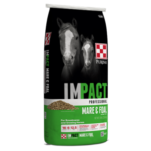 Purina Impact Professional Mare & Foal Horse Feed. Black and green 50-lb feed bag.
