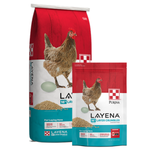 Purina Layena Layer Crumbles. Two sizes shown.