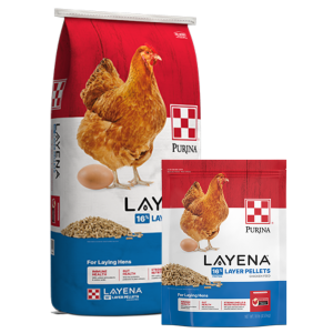 Purina Layena Layer Pellets. Size options shown.