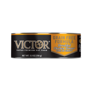 Victor Grain Free Formula Shredded Chicken Dinner Cuts in Gravy 5.5-oz Canned Cat Food. Black and gold cat food can.