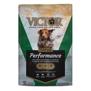 Victor Performance Dry Dog Food. Green dog food bag. Brown dog running.