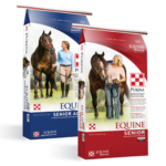 purina-equine-senior-product group