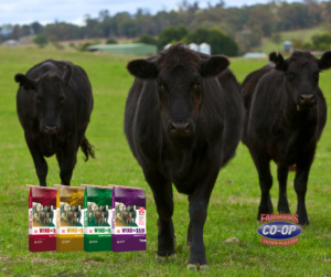 Local Cattle Mineral Meetings at Farmers Coop in Van Buren, Elkins, Lincoln, and Boonville, Arkansas.