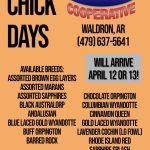 Farmers Coop Waldron Chick Days April 12-13, 2024