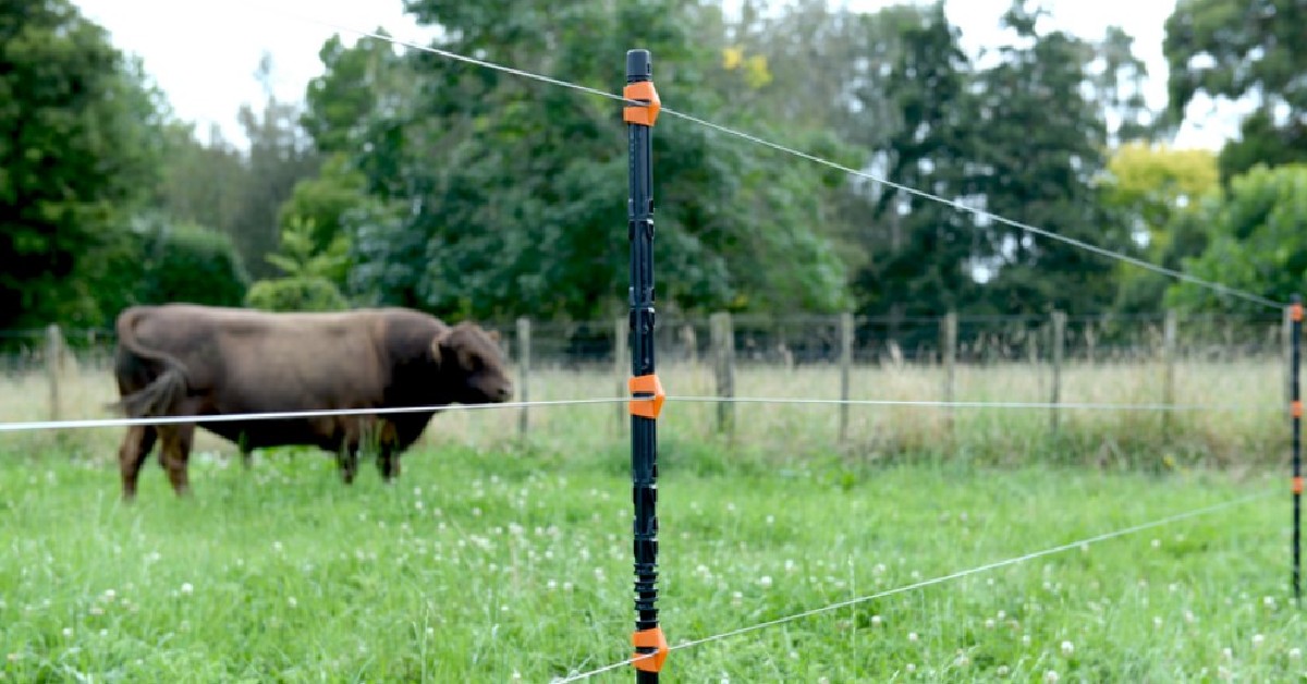 Gallagher Electric Fencing At Farmers Coop