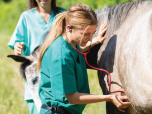 Join us for a Rabies and Coggins Clinic at Farmers Coop in Elkins, Arkansas, on April 9, 2022, from 9:00 a.m. to 12:00 p.m.