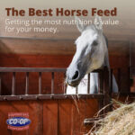best-horse-feed-value-farmers-coop