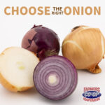 choosing-onions-farmers-coop