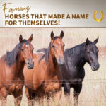 famous-horses-farmers-coop