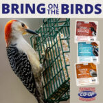 farmers-coop-bird-suet