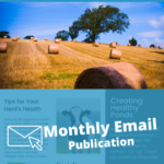 newsletter-nw-promo