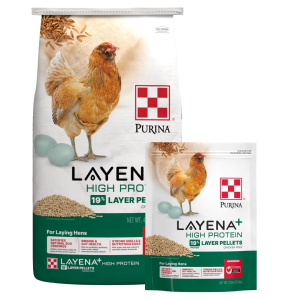Purina Layena+ High Protein Layer Pellets. Green and white 40-lb and 10-lb feed bag sizes.