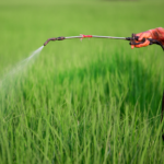 Pesticide training (1)