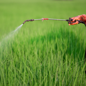 Pesticide training (1)