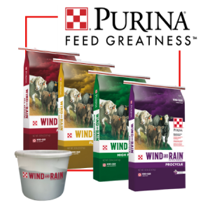 Learn about Cattle Mineral Considerations. Purina Wind and Rain Supplements.