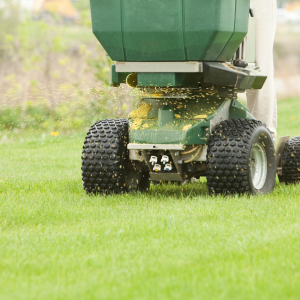 pre-emergent and over seeding a yard