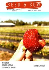 Seed & Sow 2023