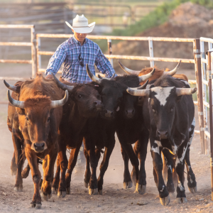 over-the-counter livestock antibiotics to require a prescription 