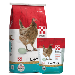 Purina Layena Layer Crumbles