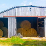 Storing Hay 2