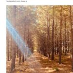 seed-sow-cover-sept-2023
