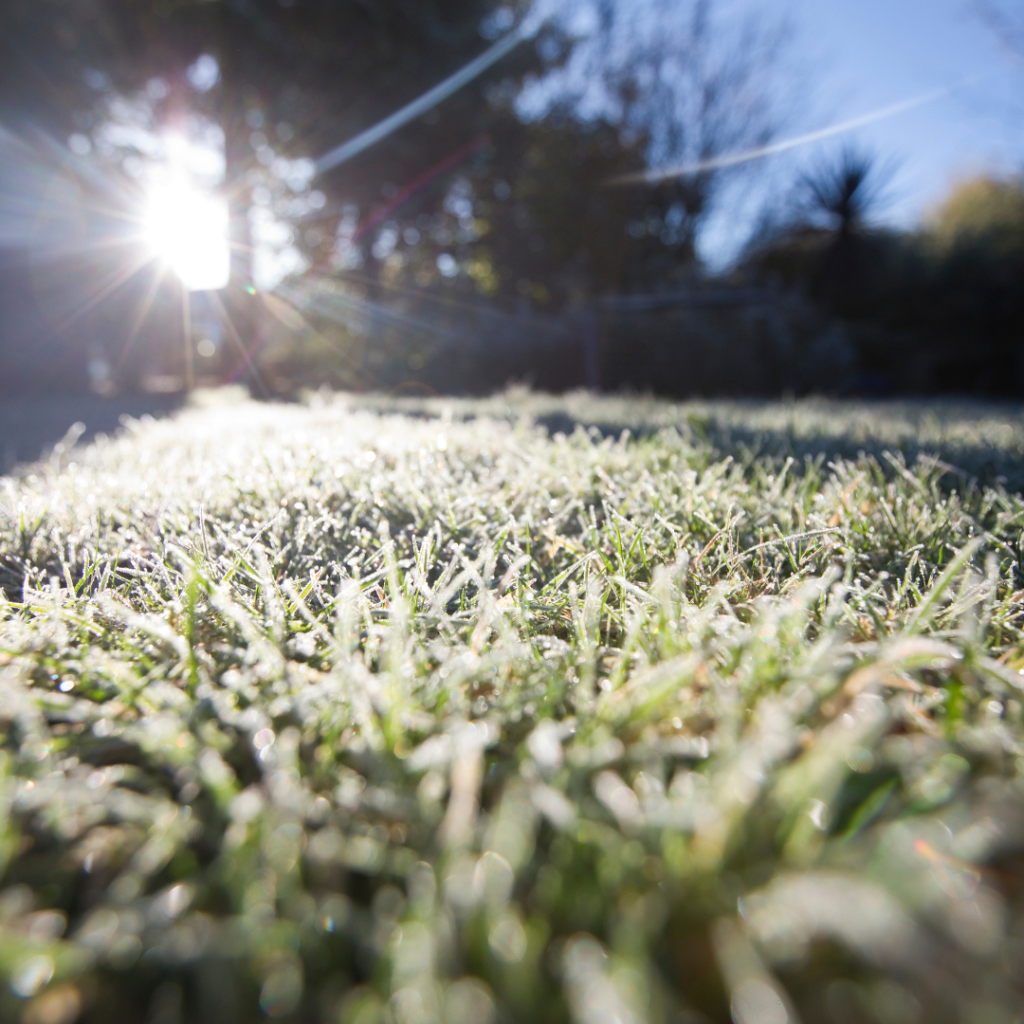 Learn Winter Garden Mythbusters